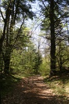 246IMG_4142.JPG