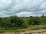 18790P1000628.JPG