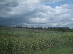 26738IMG_4160.JPG