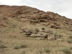 37010CIMG0802.JPG