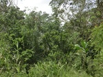 49511CIMG5848.JPG