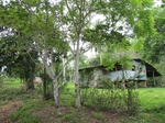 32101IMG_5584.JPG