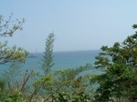 496219042008(53).JPG