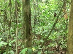 47507CIMG3844.JPG