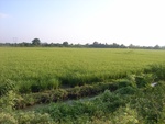 26494RIMG0385.JPG