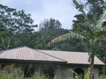 48647CIMG4984.JPG