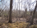 8605IMG_1230.JPG