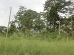 49829CIMG6166.JPG