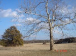 9738DSC04302.JPG