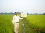 11408gt172-cropland-1.jpg