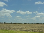 36016DSC02287.JPG