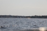 2024-08-05_17-04-31_A6AB4F8E-2028-45B4-9791-FA6C7B21DEFC.jpeg