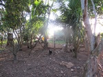 32026IMG_5698.JPG