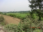 53919CIMG3595.JPG