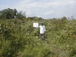 12072GT015_Fallow.JPG