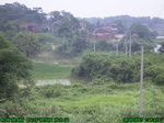 891R0015401_tag.jpg