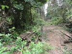 46816DSC02154.JPG