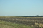 2024-06-17_21-20-49_3BA20B38-9D96-486F-A50A-56953B187696.jpeg