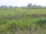 34624RIMG0091.JPG