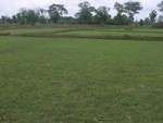 34573RIMG0039.JPG