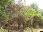 1789027042008(25).JPG