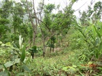 53340CIMG6626.JPG