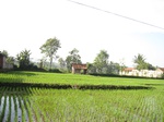 15369IMG_4217.JPG
