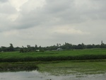 21930DSC00180.JPG