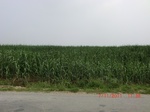 32616CIMG1735.JPG