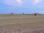 26463DSC00494.JPG