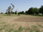 19107P1000952.JPG