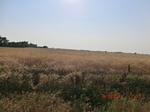 29903CIMG1461.JPG