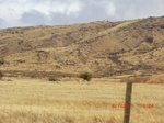 36150CIMG3188.JPG
