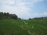 15832IMG_4370.JPG