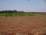 51904Tank ID 1800057 Tagarigatta 2.JPG