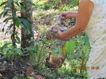 31853IMG_5445.JPG