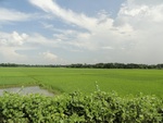 24566DSC00771.JPG