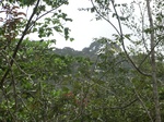 48753CIMG5090.JPG