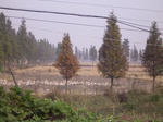 3078 011.jpg