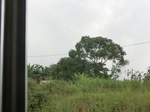49860CIMG6197.JPG
