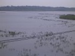 815R0015376_small.jpg