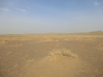 36616CIMG0385.JPG