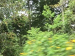 49301CIMG5638.JPG