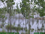 1210R0015054_tag.jpg
