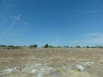 34916DSC01818.JPG