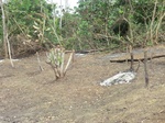 48745CIMG5082.JPG