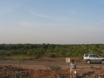 9378gt066b-agroforests-neem.gif