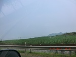 32708CIMG1839.JPG