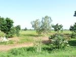 19422P1010269.JPG