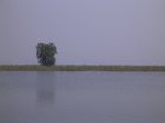 1367R0015133_small.jpg